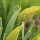 Image for article titled Shooting Challenge: Spring